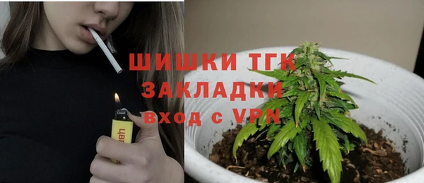 apvp Осинники