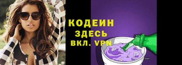 прущие грибы Осташков