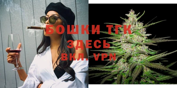 прущие грибы Осташков
