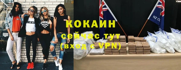 прущие грибы Осташков