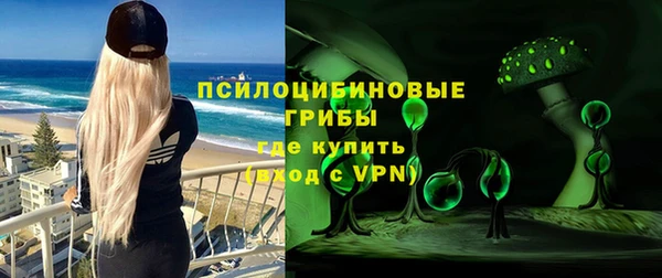 apvp Осинники