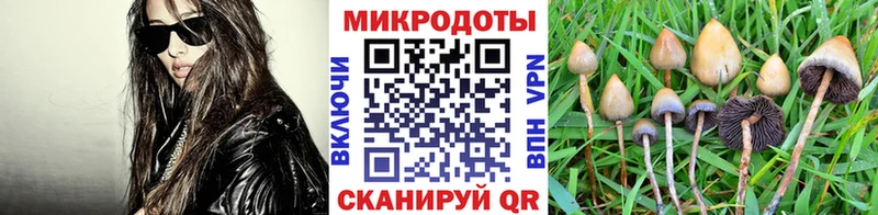 Галлюциногенные грибы ЛСД  Хотьково 